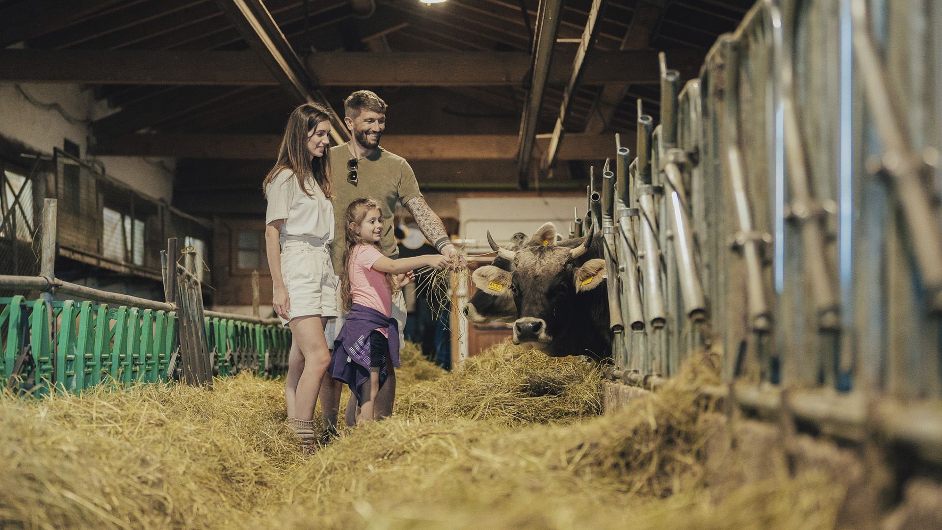 cena gala castello buonconsiglio trento