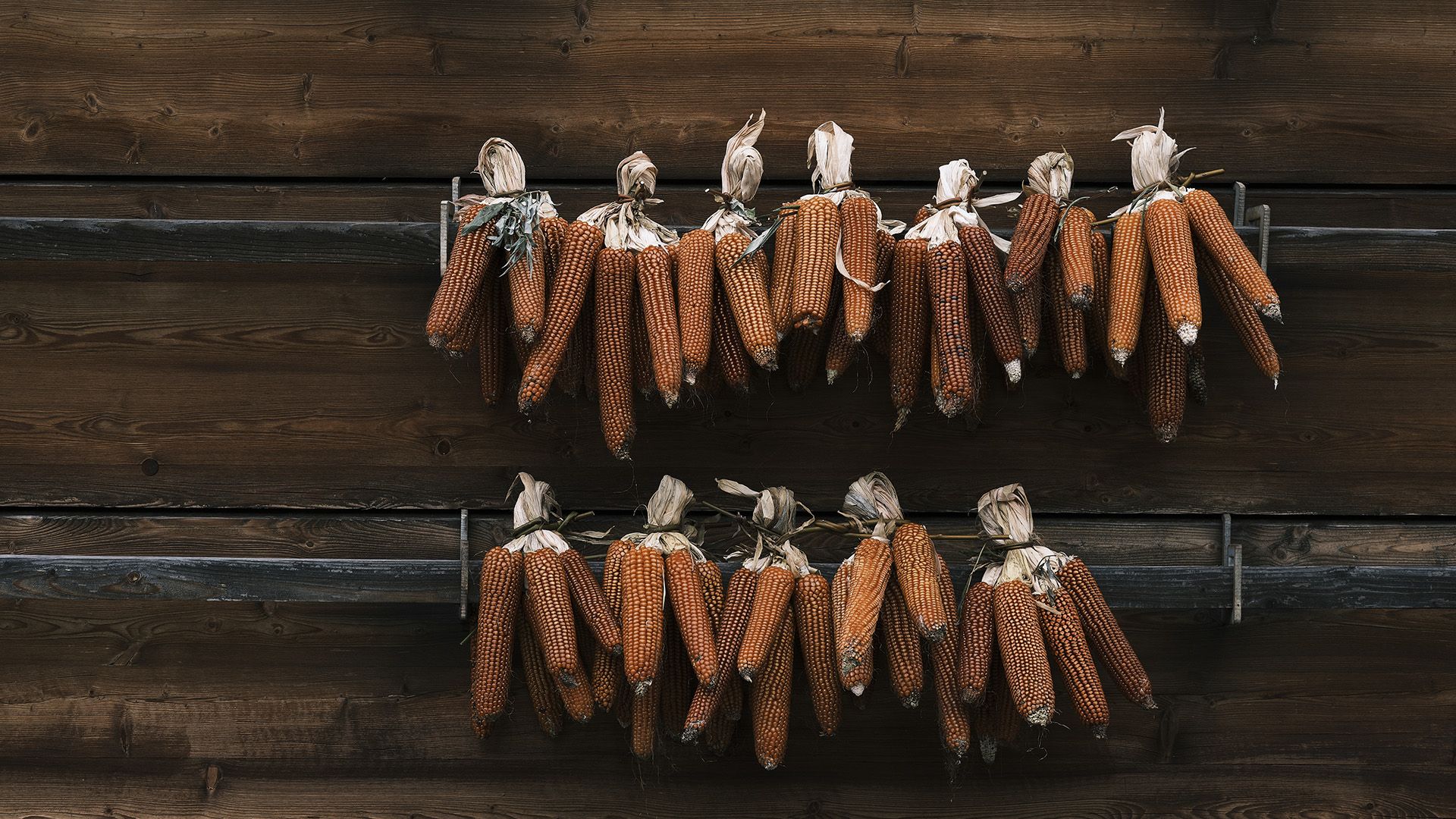 cena gala castello buonconsiglio trento