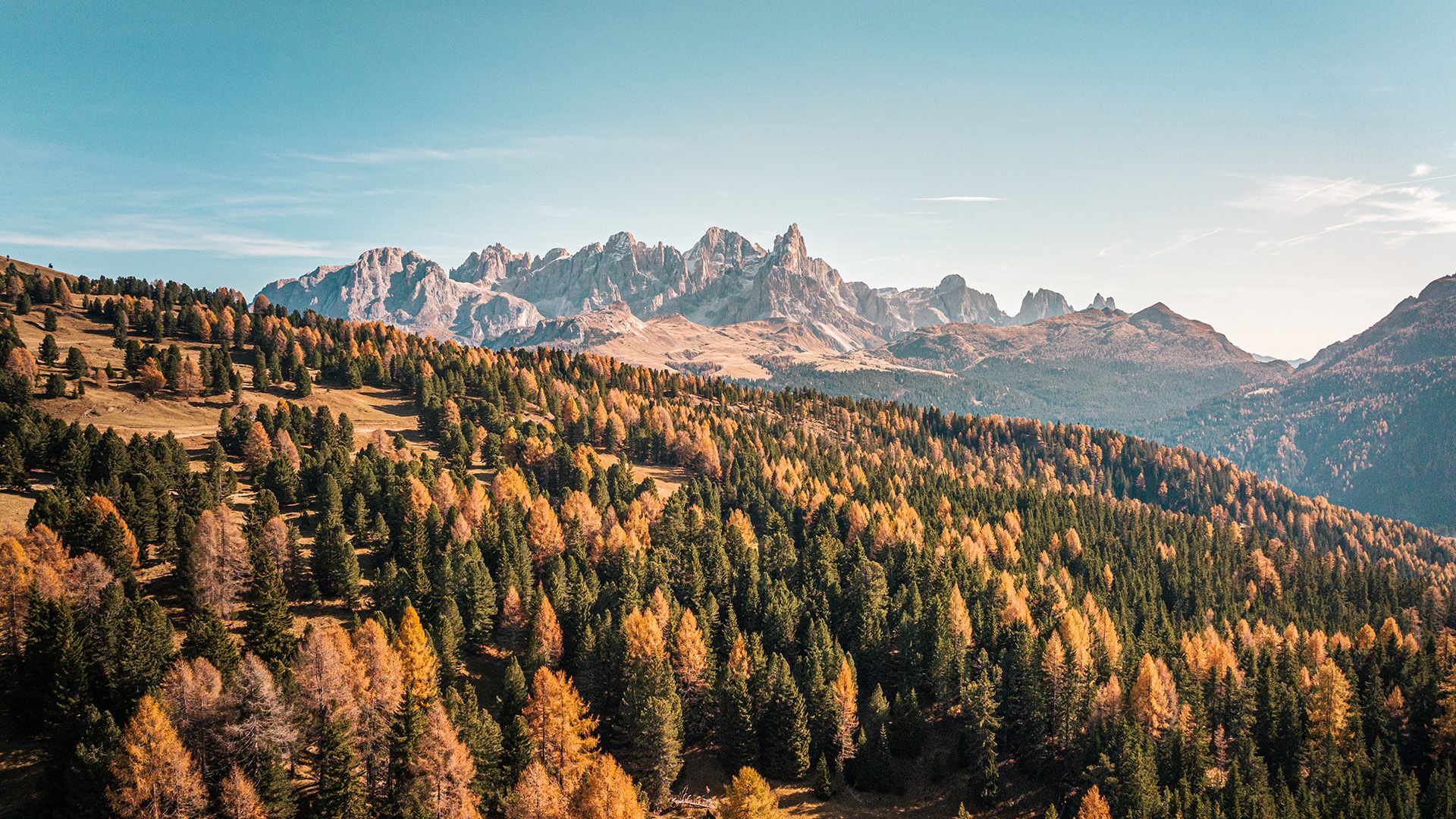 cena gala castello buonconsiglio trento