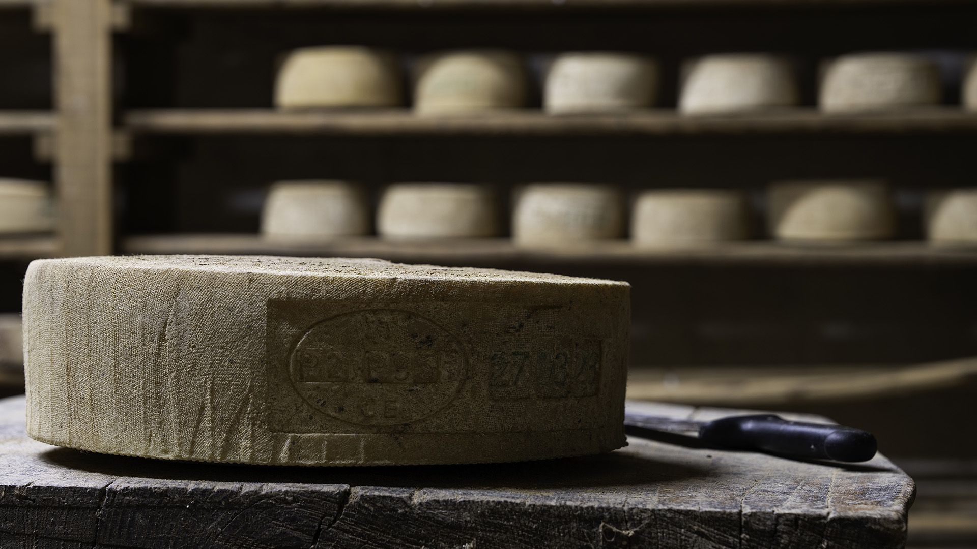 cena gala castello buonconsiglio trento