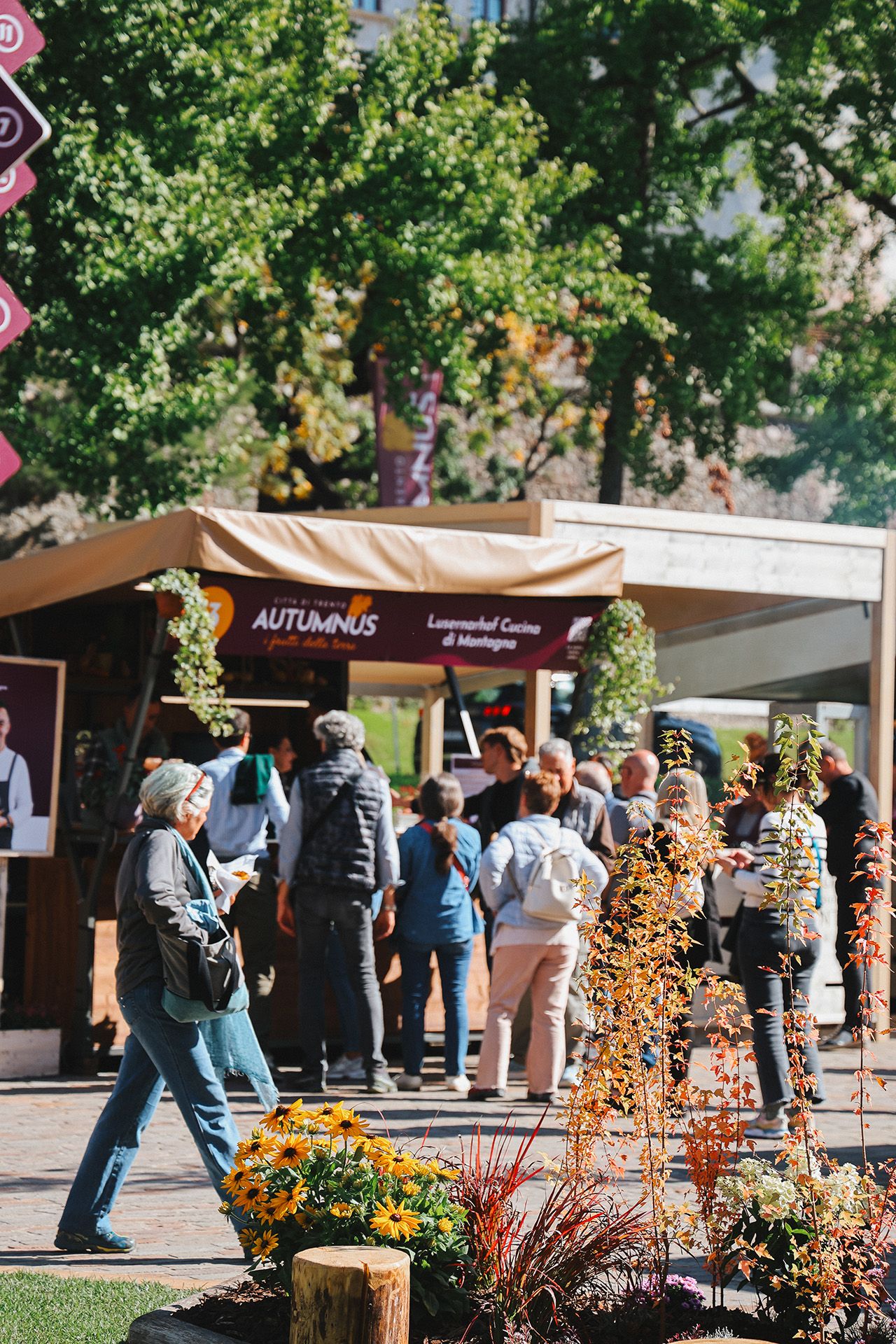 mercato piazza mostra giardino verde
