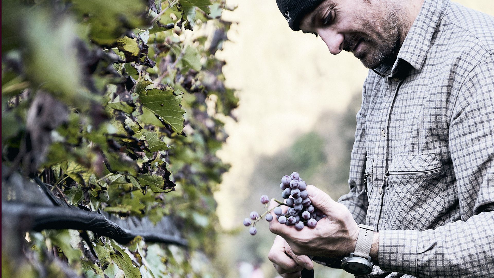 cena gala castello buonconsiglio trento