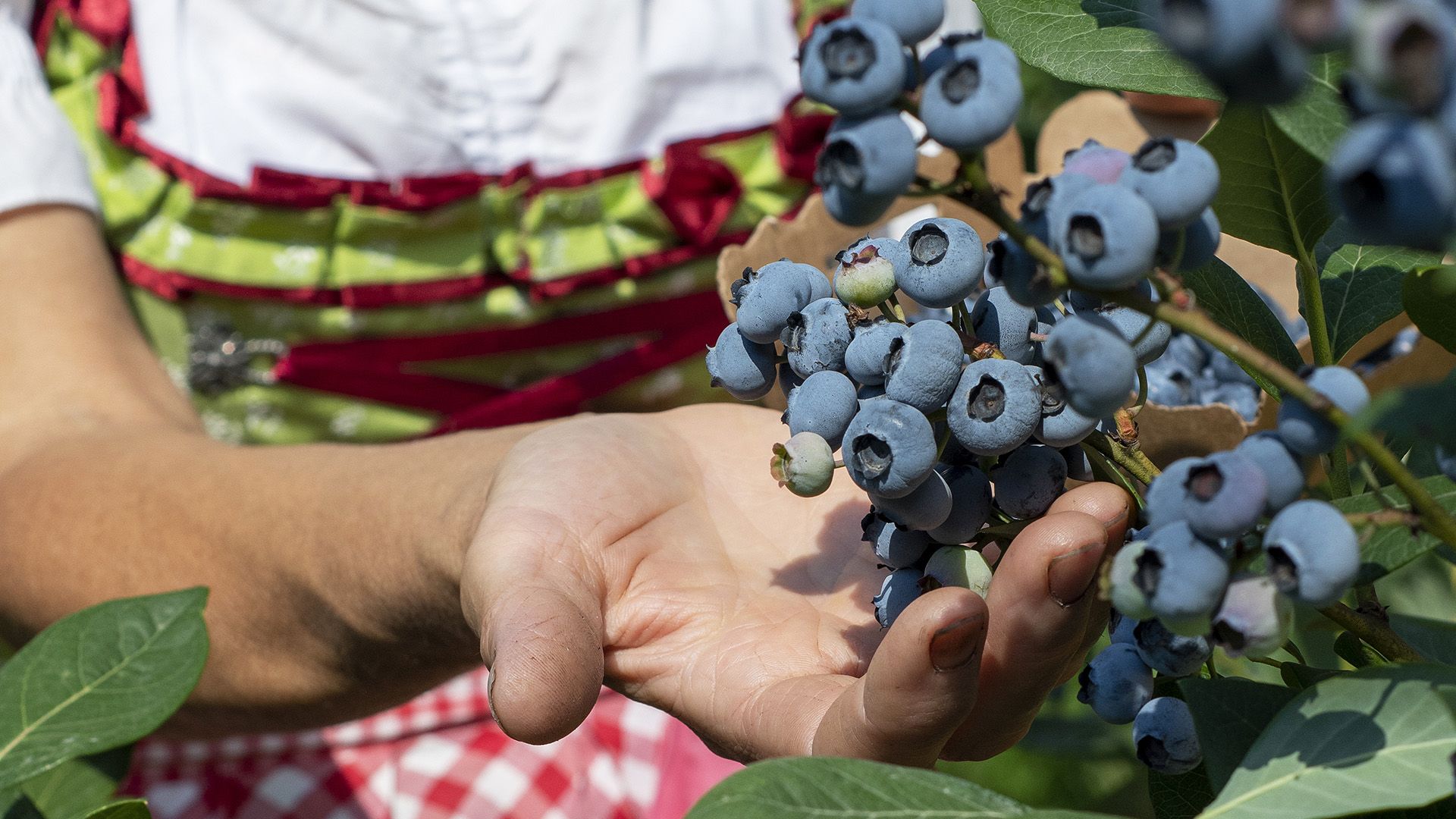 cena gala castello buonconsiglio trento