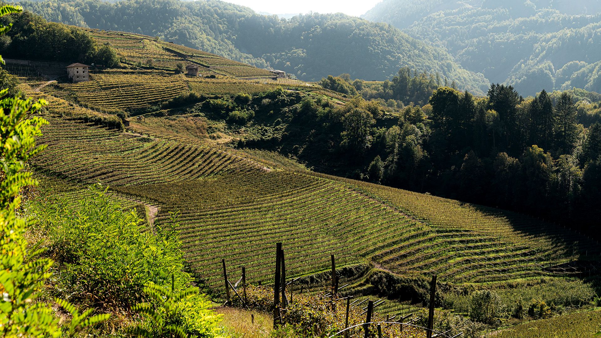 cena gala castello buonconsiglio trento