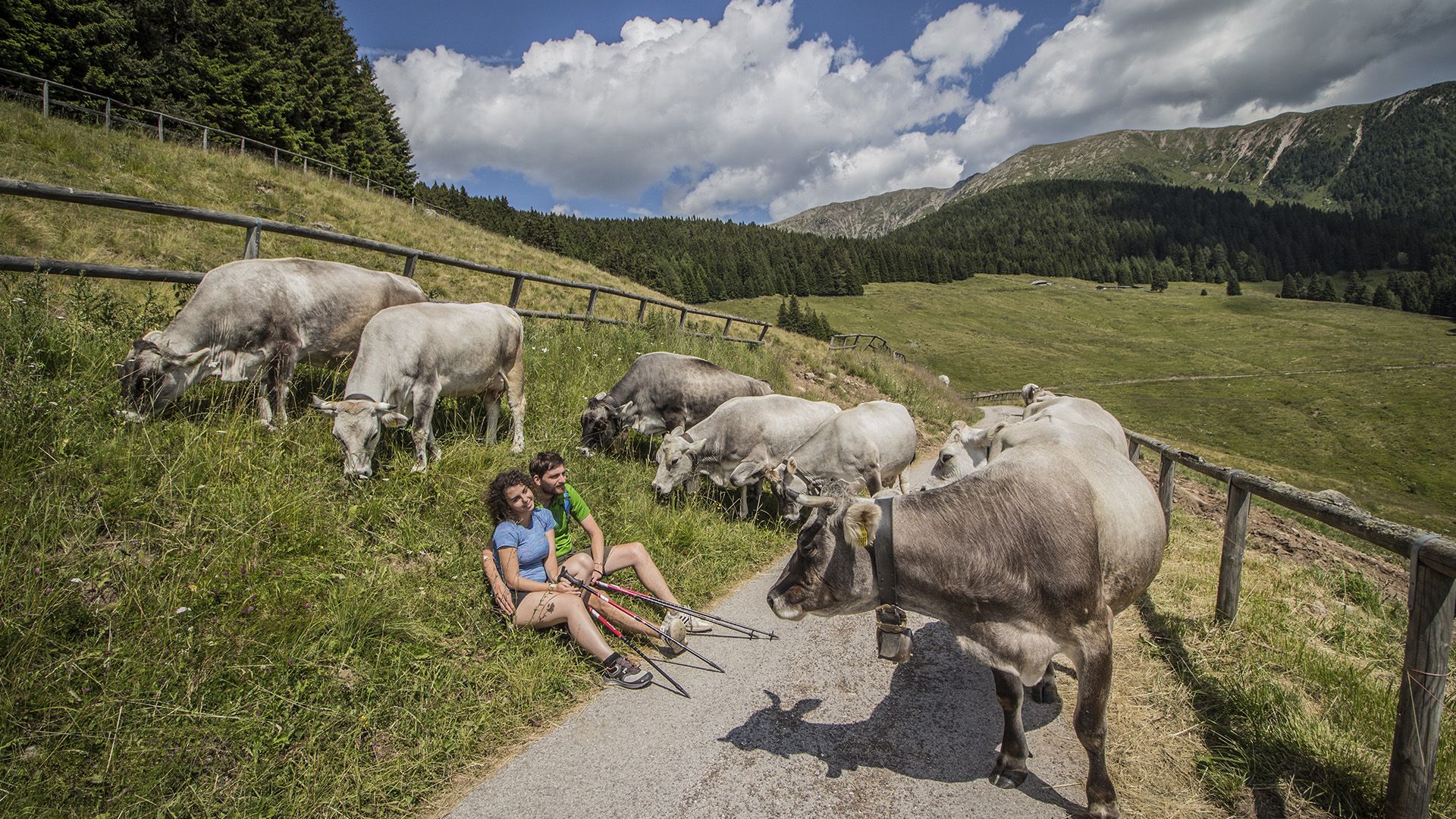 cena gala castello buonconsiglio trento